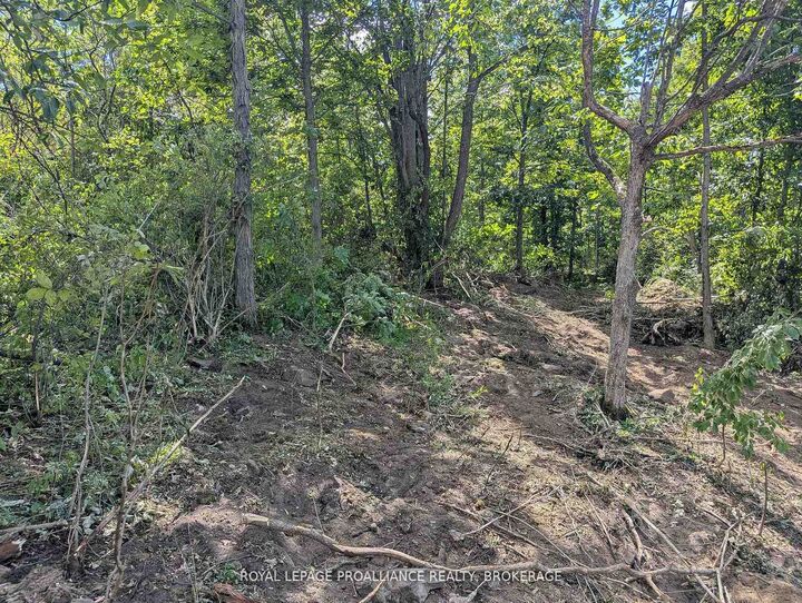 Property Photo:  2621 4th Concession Road  ON K0H 1Y0 