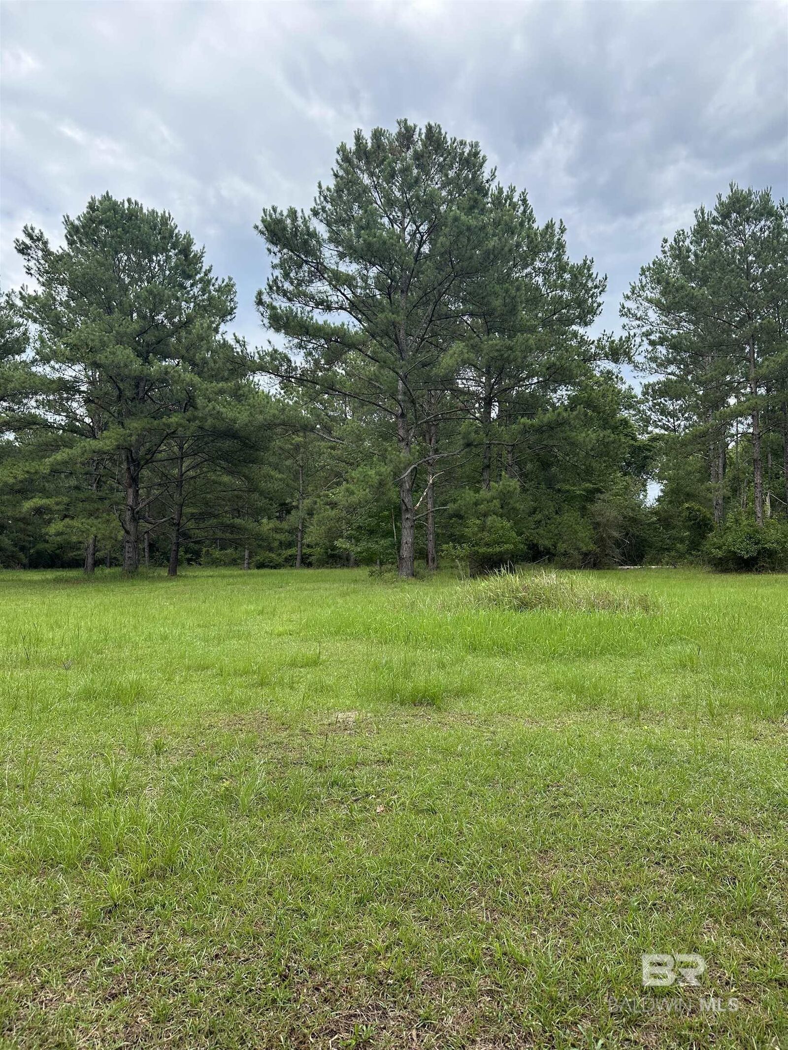 Property Photo: 40140 Dogwood Fork Road AL 36507