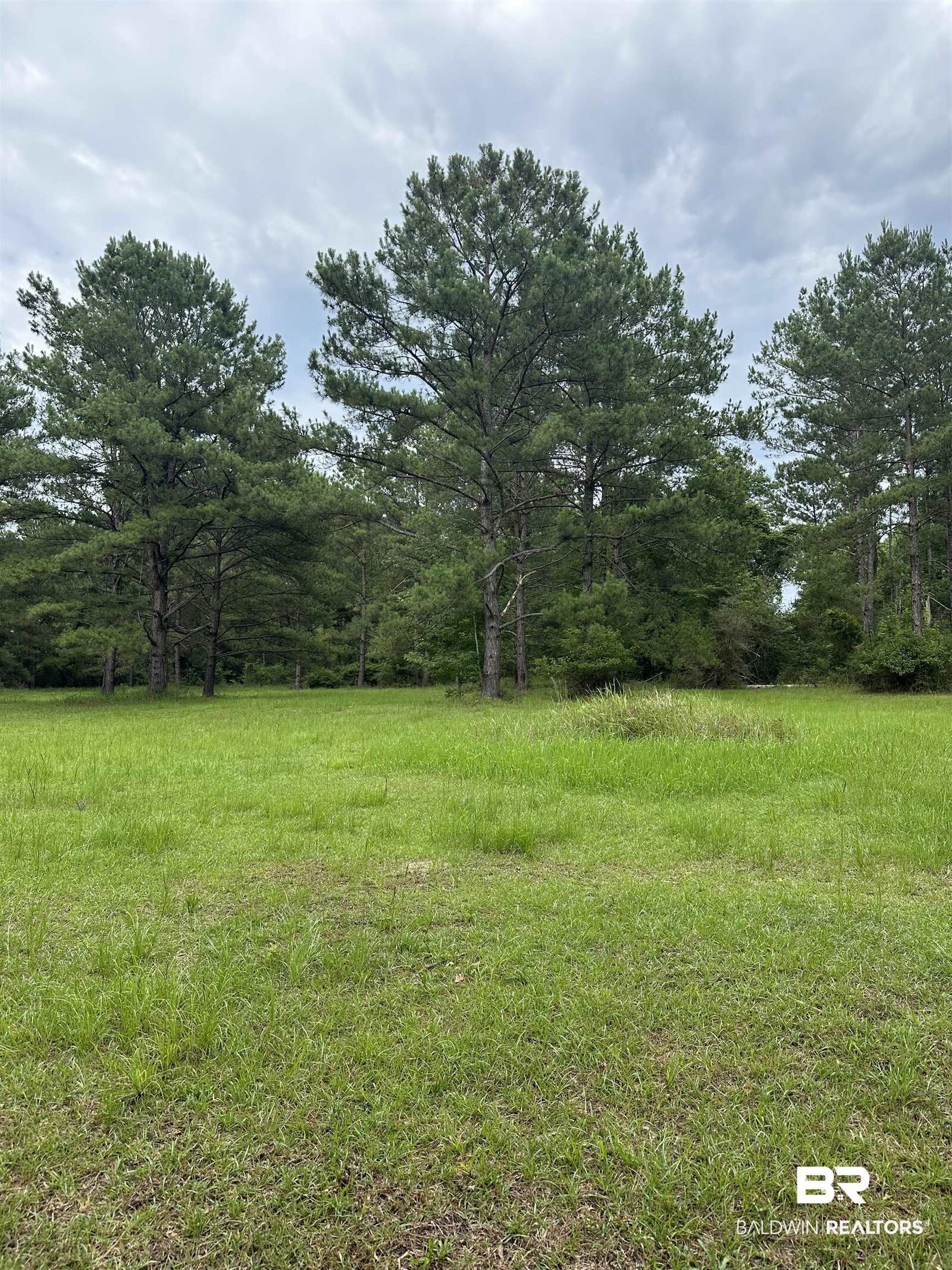 Property Photo: 40140 Dogwood Fork Road AL 36507