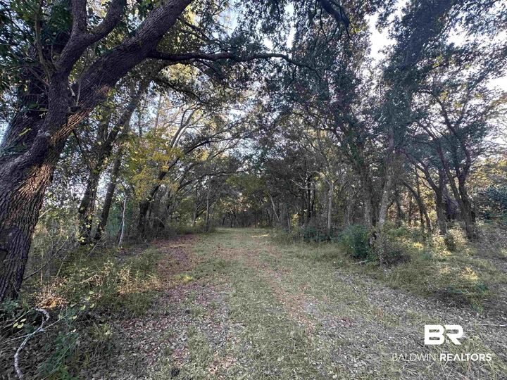 Property Photo: 0 Benton Road AL 36535