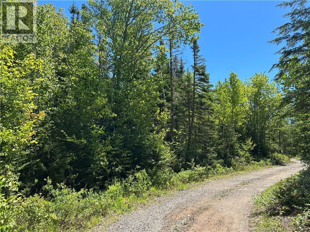 Property Photo:  Lot Nelson Lake Road  NB E5K 4W2 