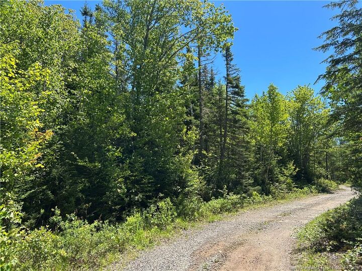 Lot Nelson Lake Road — photo 1