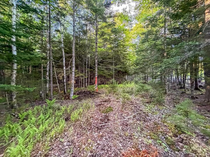 Property Photo:  Lot Pid60242856 Mullock Road  NS B4V 5N5 
