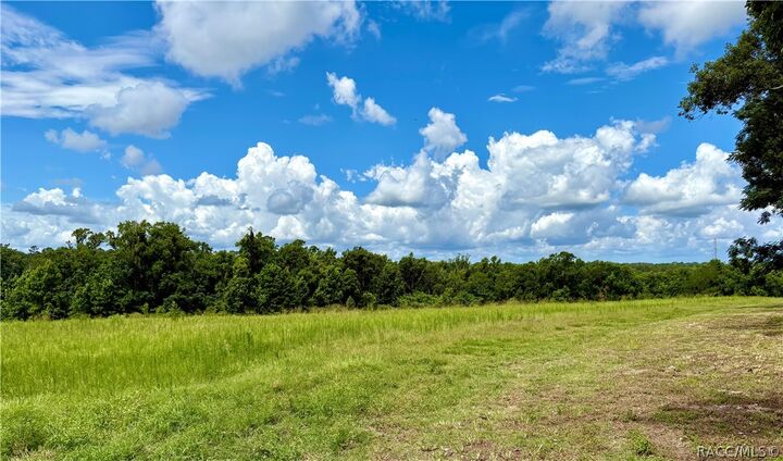 Property Photo:  000 Spring Lake Highway  FL 34601 