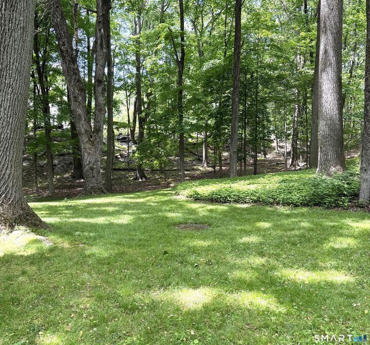 Property Photo:  25 Lords Highway East  CT 06883 