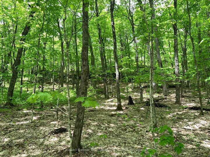 Property Photo:  Lot 16 Maxwell Lane  ON P0A 1X0 