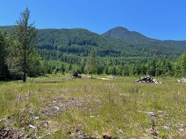 Property Photo: Lot D Elphinstone Crossing BC V0N 1V9