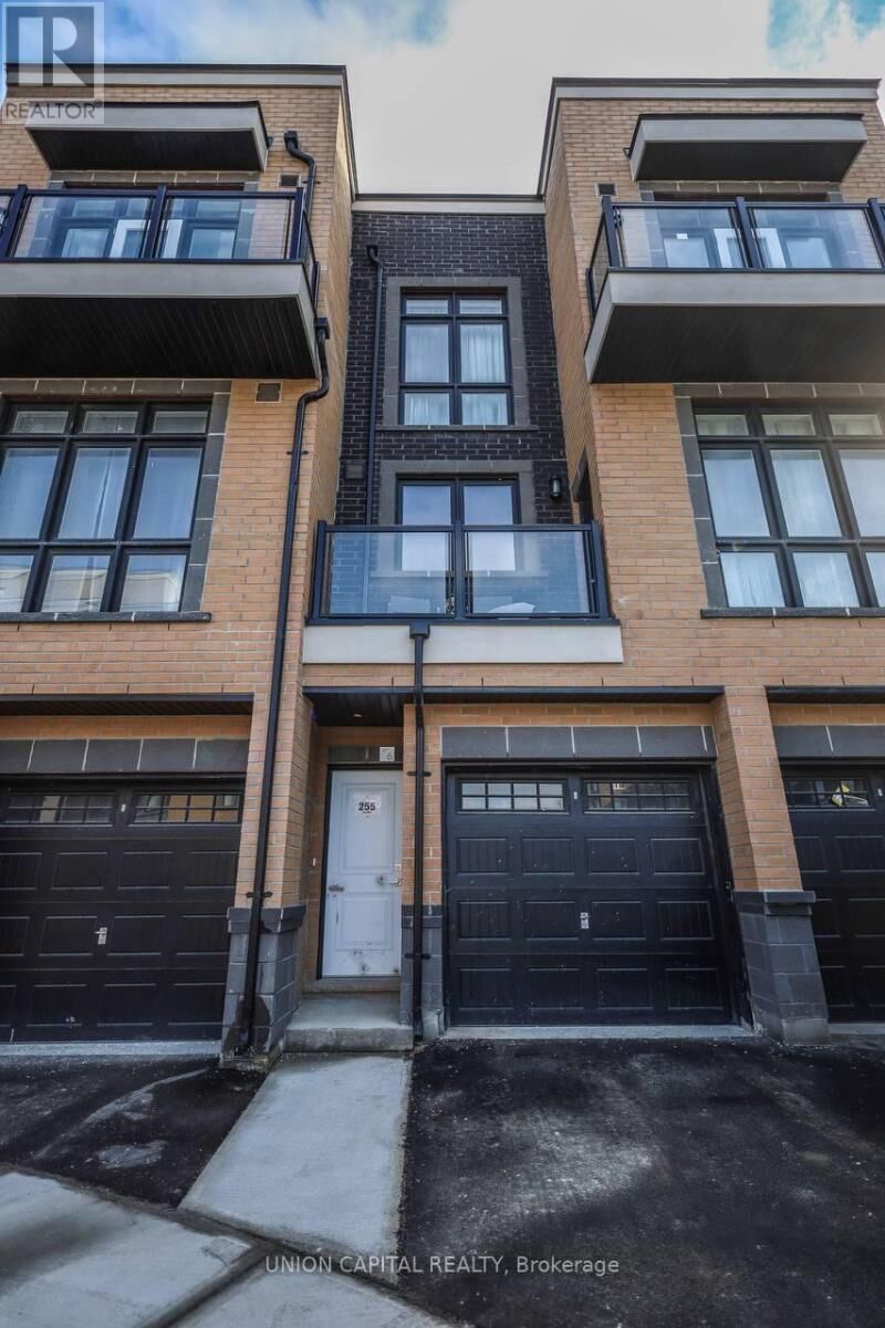 Property Photo:  7 Phelps Lane 6  ON L4E 1J4 