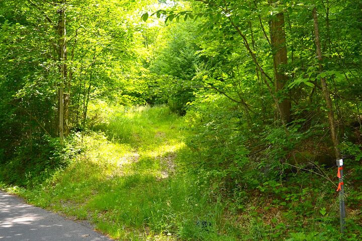 Property Photo: Cold Hollow Rd WV 25962