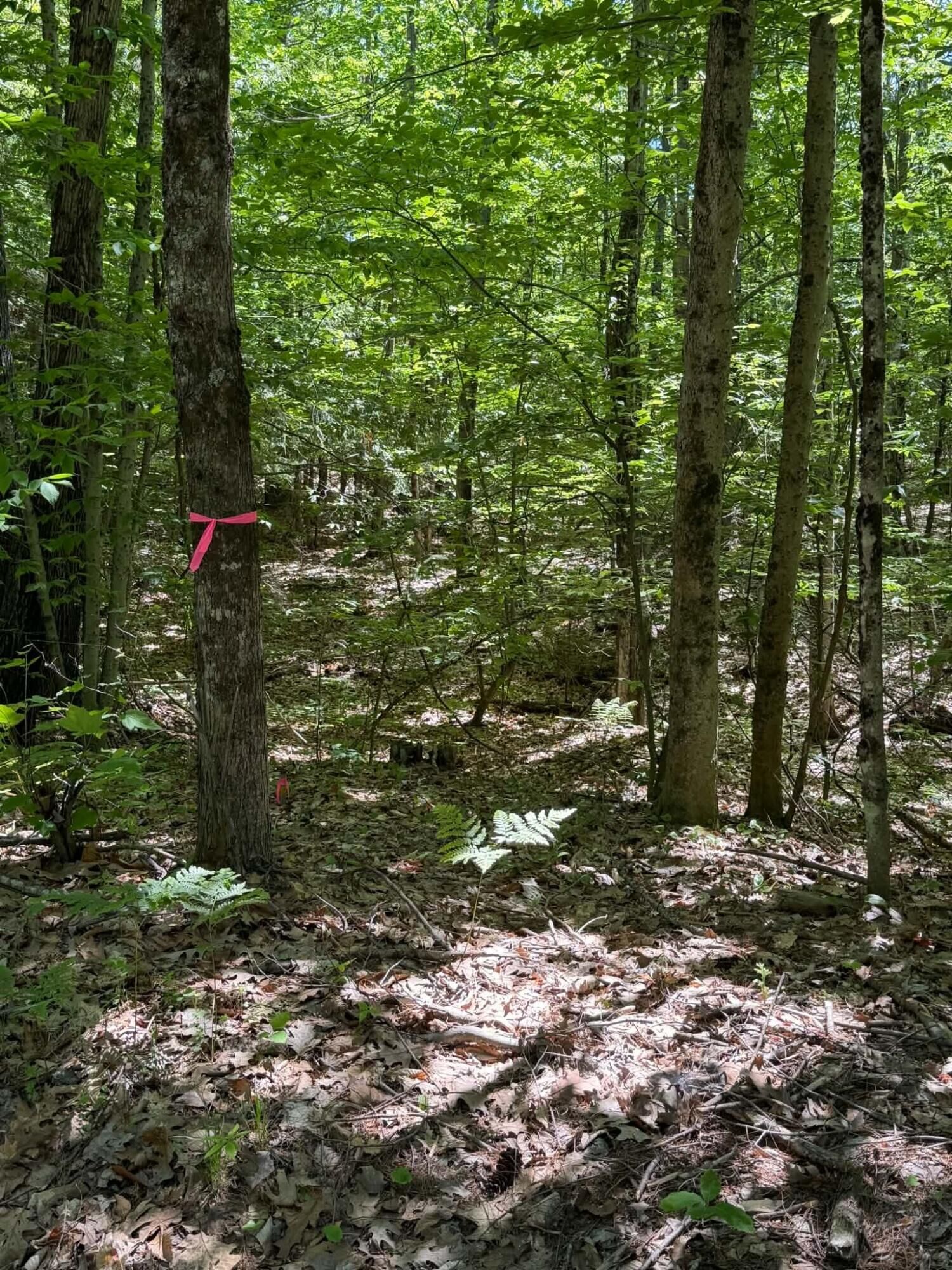 Property Photo:  0009A Rear Church Hill Road  ME 04263 