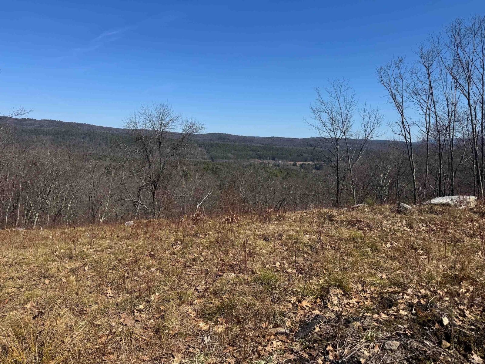Property Photo:  55 Wilbur Road  NH 03431 