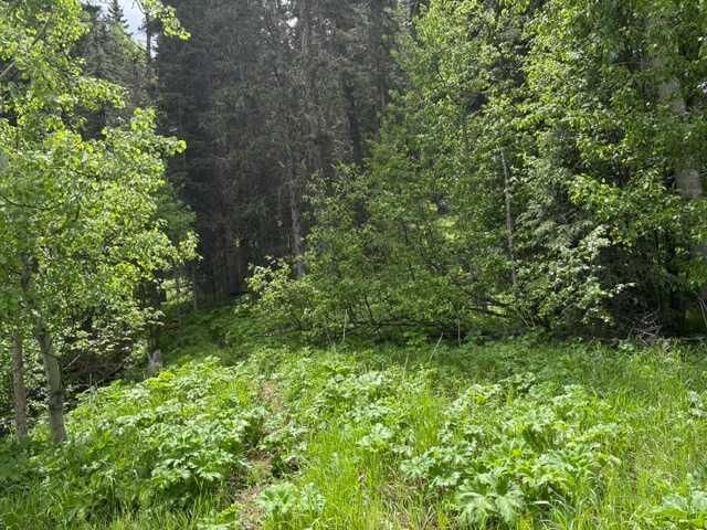 Property Photo: 229 Mountain Lion Drive AB T0L 0K0