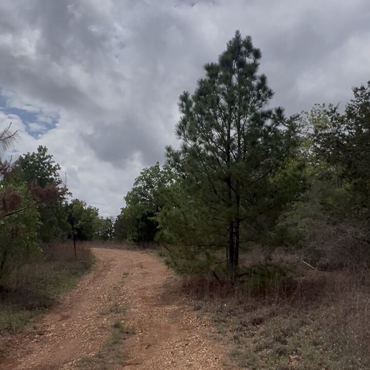 Property Photo: Lot 11 Antioch Road TX 78659