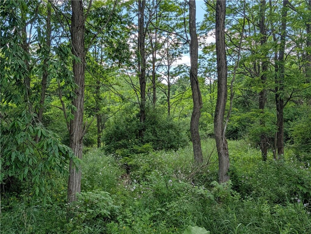 Property Photo:  Case Road  NY 13733 