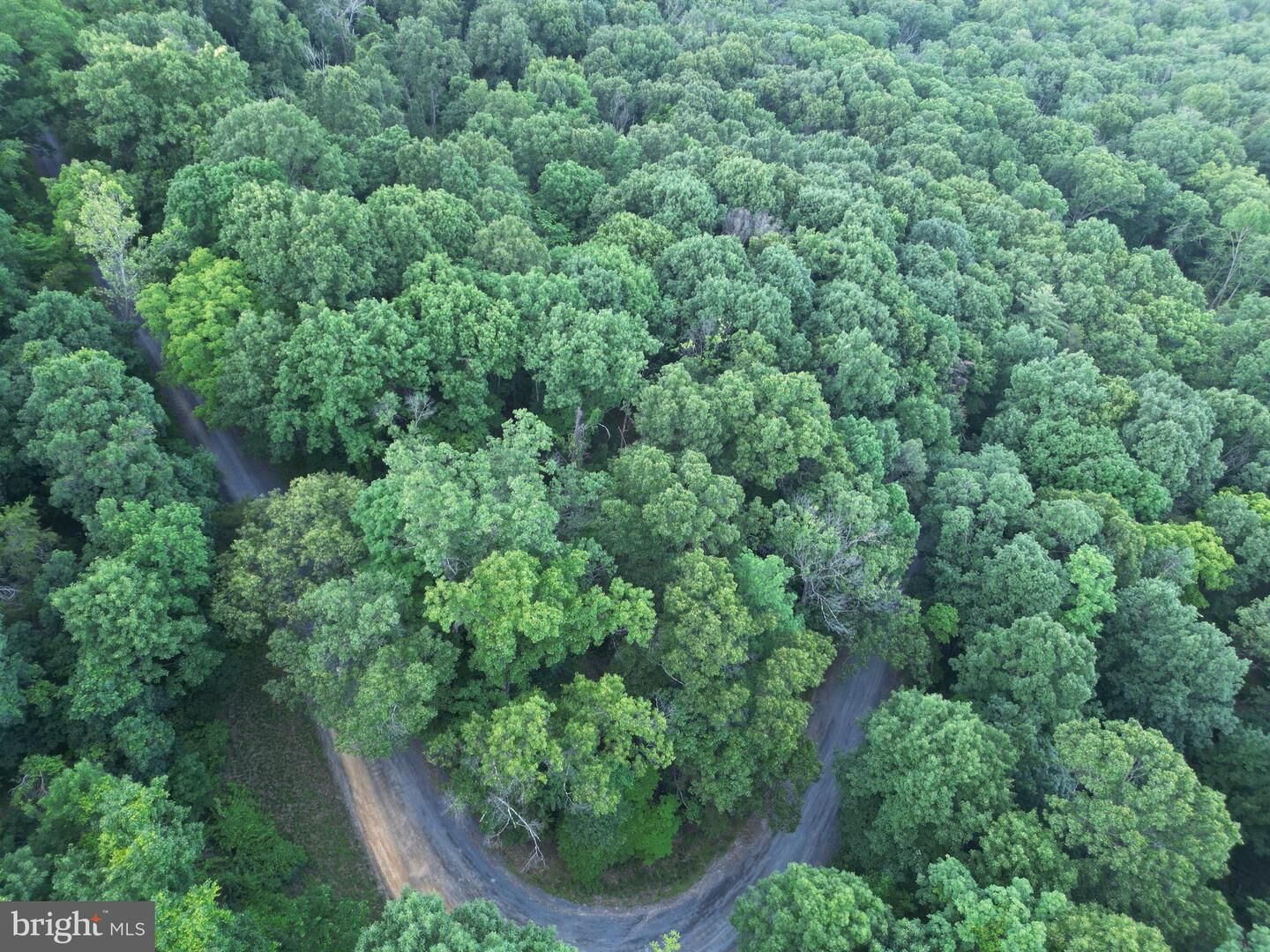Property Photo: Tbd Rolly Rd VA 22842