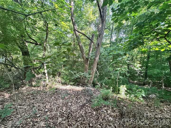 Property Photo: 7100 Colley Ford Lane 2 NC 28273