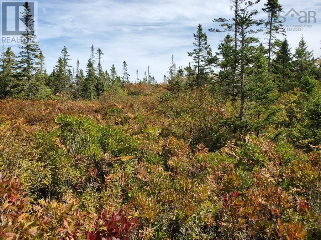 Property Photo:  Lot Rockland Road  NS B0T 1V0 