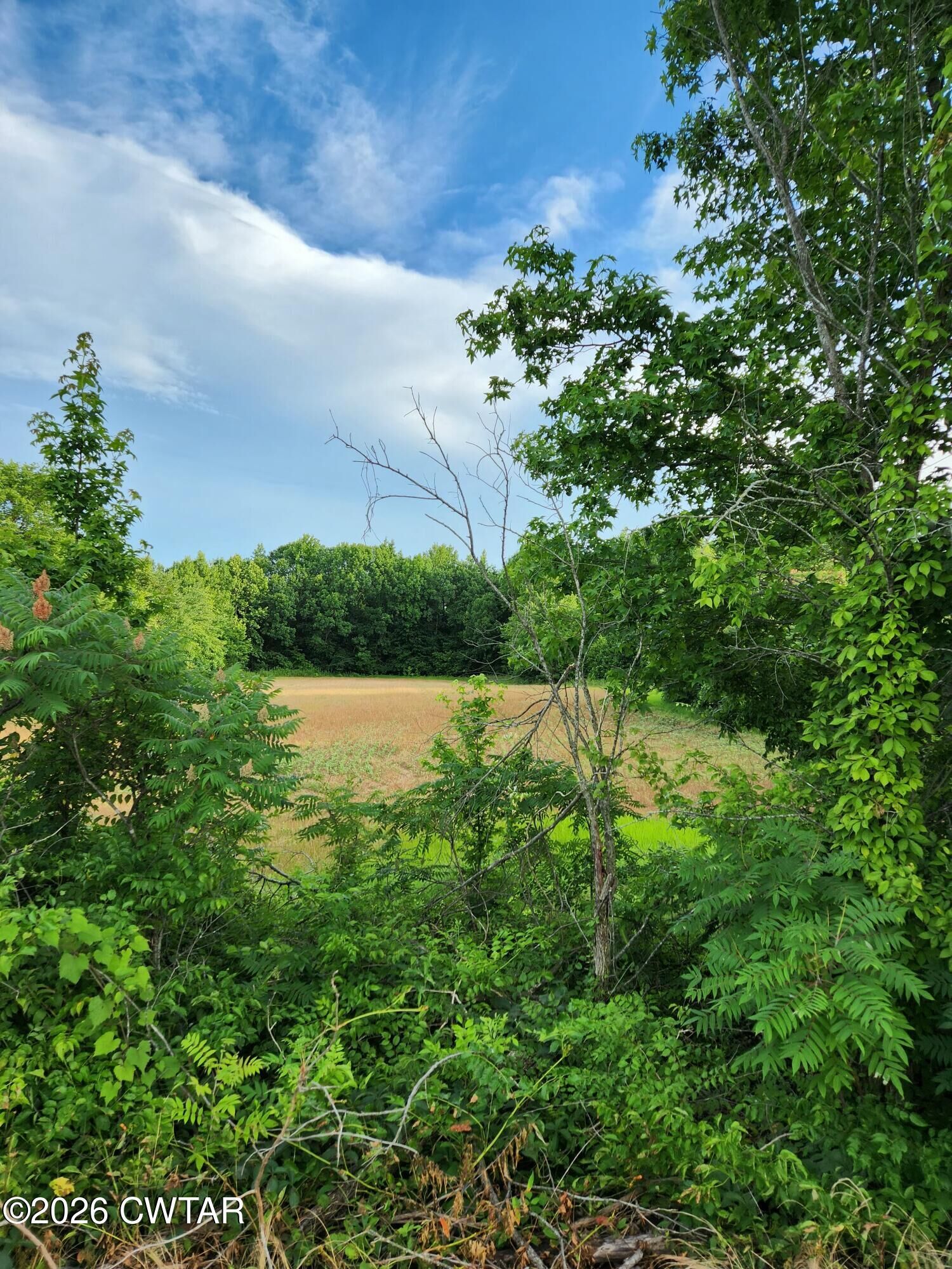 Property Photo: 00 Friendship Road TN 38012