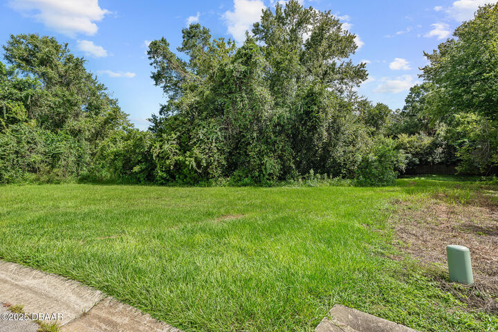 Property Photo:  1082 Yaupon Street  FL 32117 