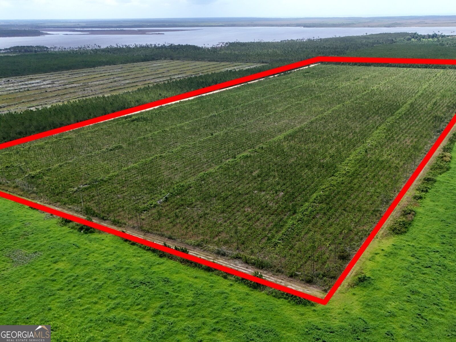 Property Photo:  32 Acres Allanton Road  FL 32404 