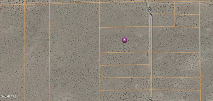 Property Photo:  0 90th St &Amp Lindbergh (Apn#229-0  CA 93505 