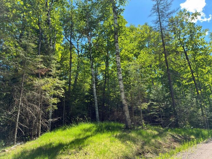 Property Photo:  Off Boxberger Dr Lot 4  WI 54557 