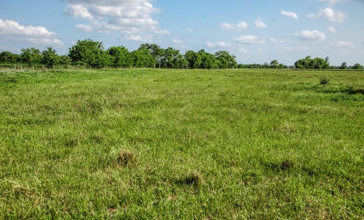 Property Photo:  1923 Beasley West End  TX 77417 