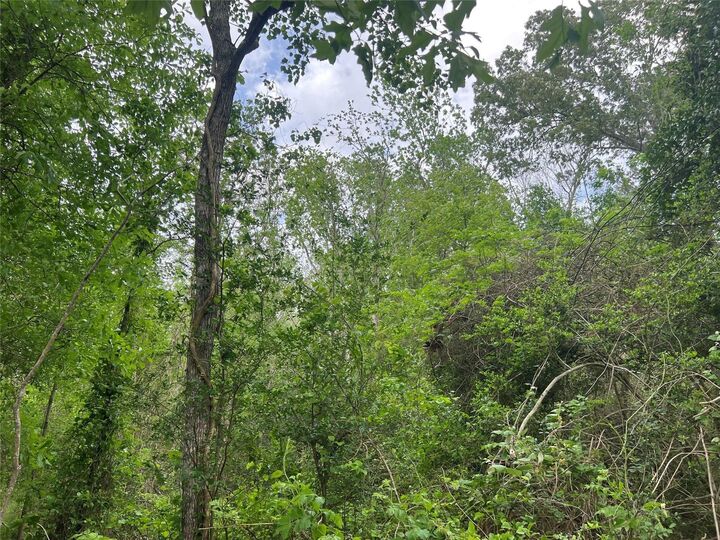 Property Photo: 000 Cemetery Road TX 77575