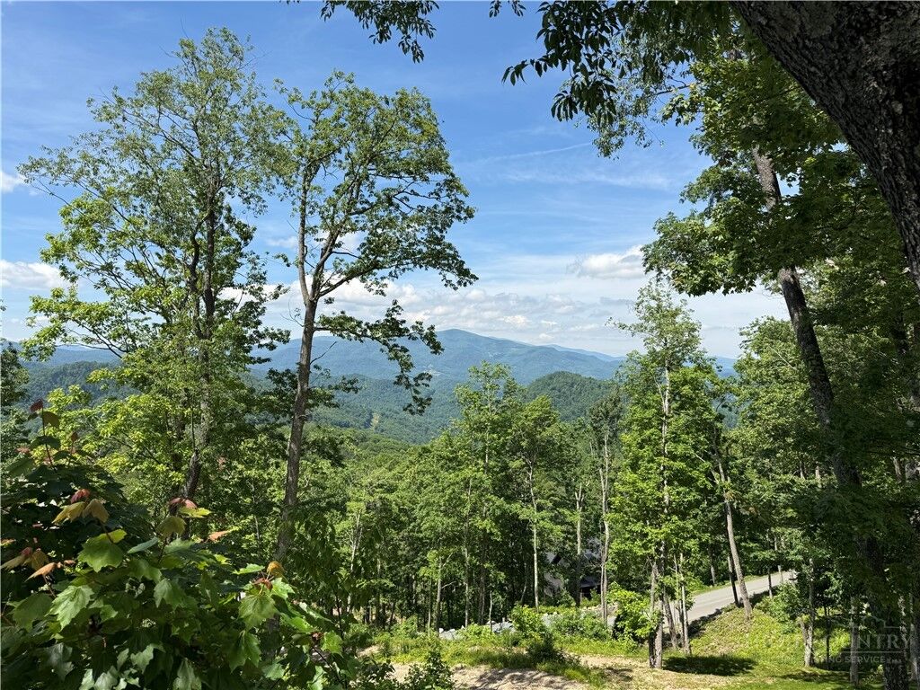 Property Photo:  1040 Eagles Nest Trail  NC 28622 