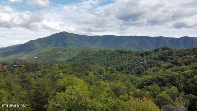 Property Photo: 252 Round Top Way TN 37862