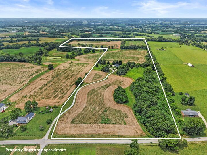 Property Photo:  585 Ruddles Mill Cynthiana Road  KY 41031 