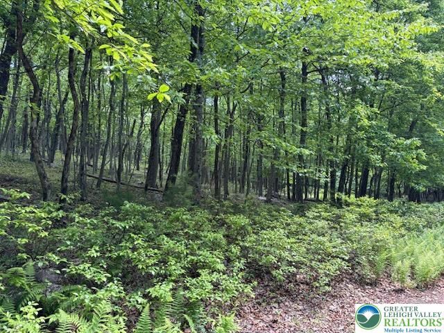 Property Photo:  Lot 250-Maple Lane  PA 18229 