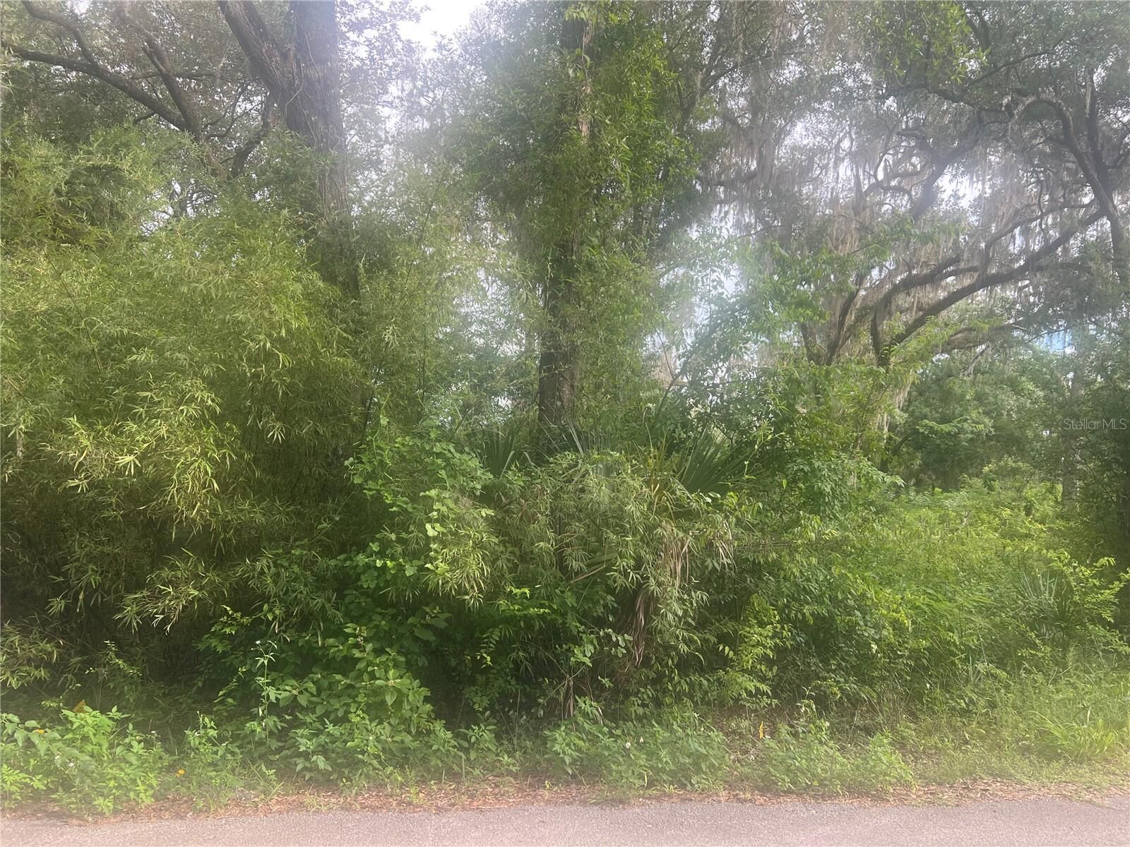 Property Photo: NE 32nd Street FL 34488