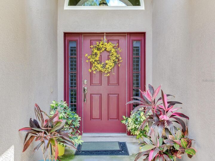 Property Photo: 12502 Blazing Star Drive FL 33626