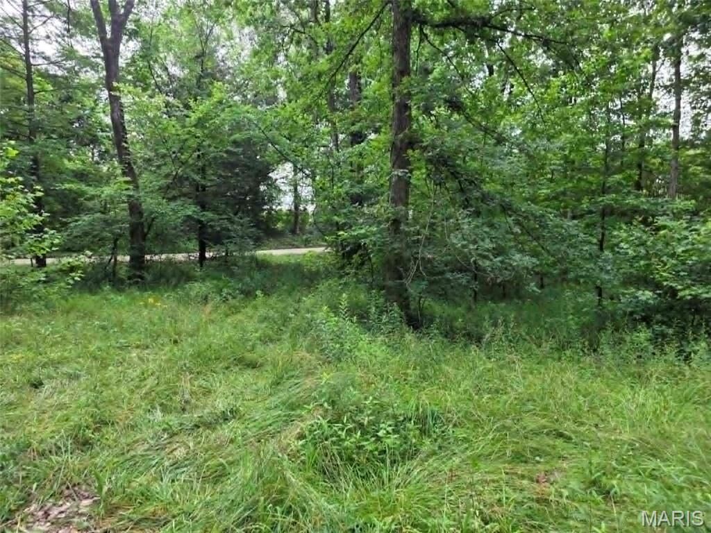 Property Photo:  951 County Road 514  MO 63966 