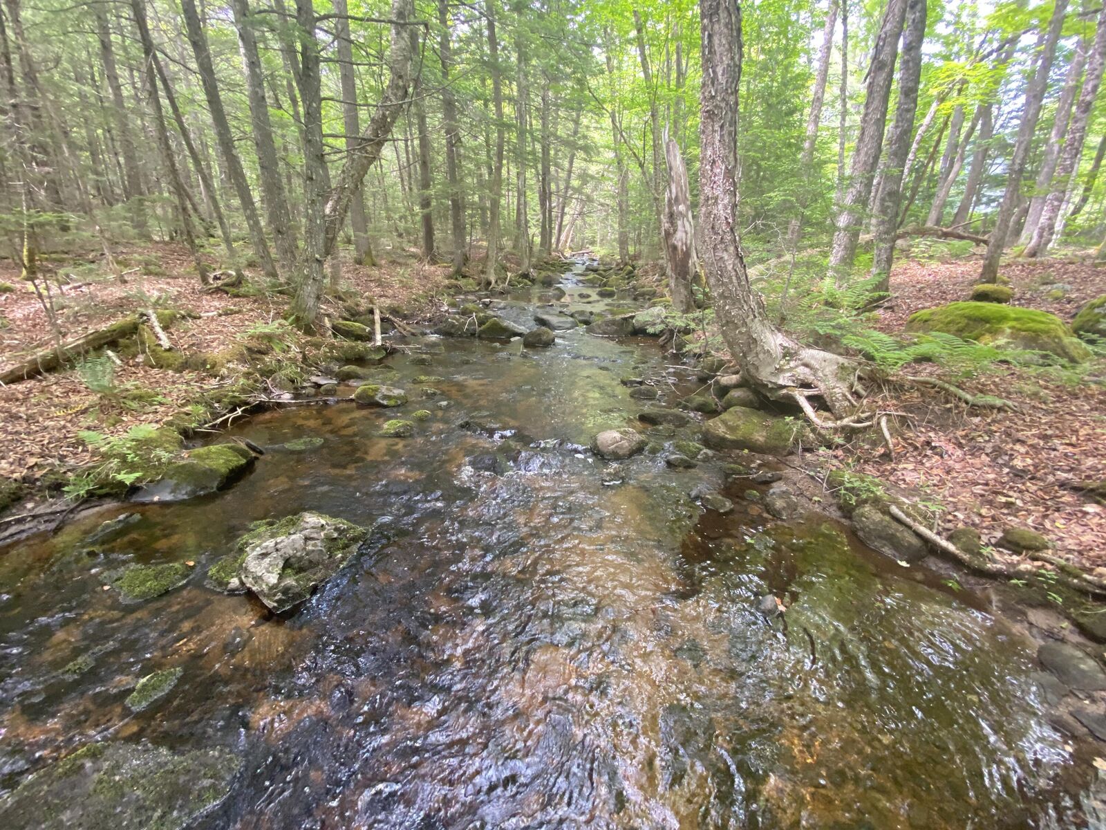 Property Photo: 783 Half Township Road ME 04457