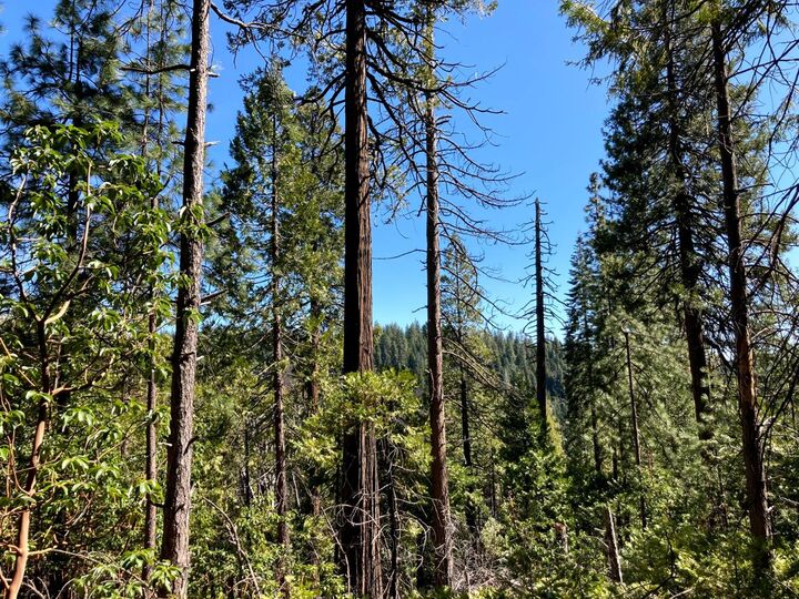 Property Photo:  26584 Spring Road  CA 95666 