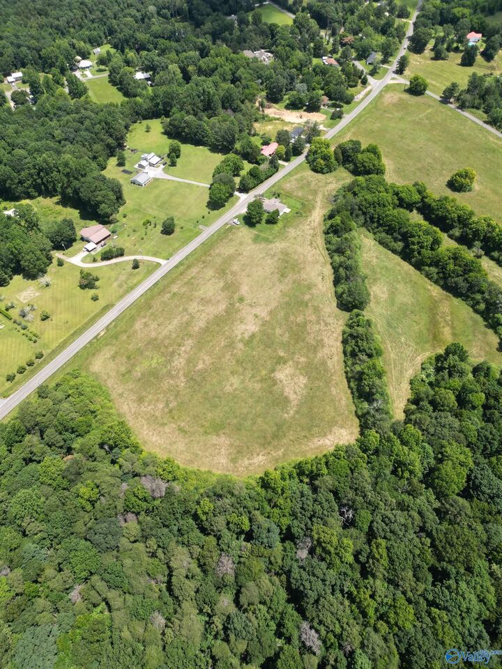 Property Photo: 17 Acres Swearengin Road AL 35976