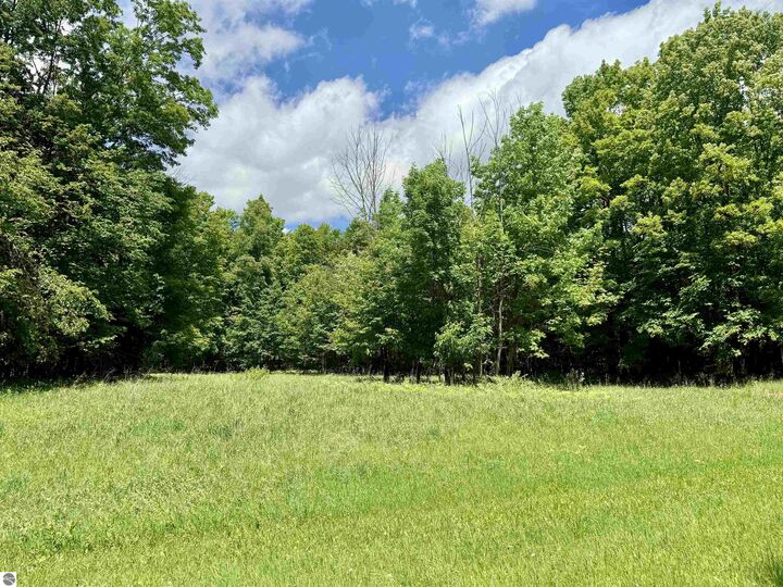 Property Photo: V/L Farrier Road MI 49746