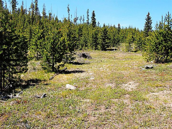 Property Photo:  261 Kanduch Road  MT 59711 