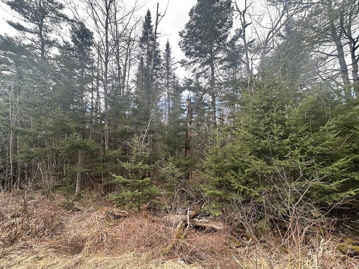 Property Photo:  0 North Littleton Road  NH 03561 