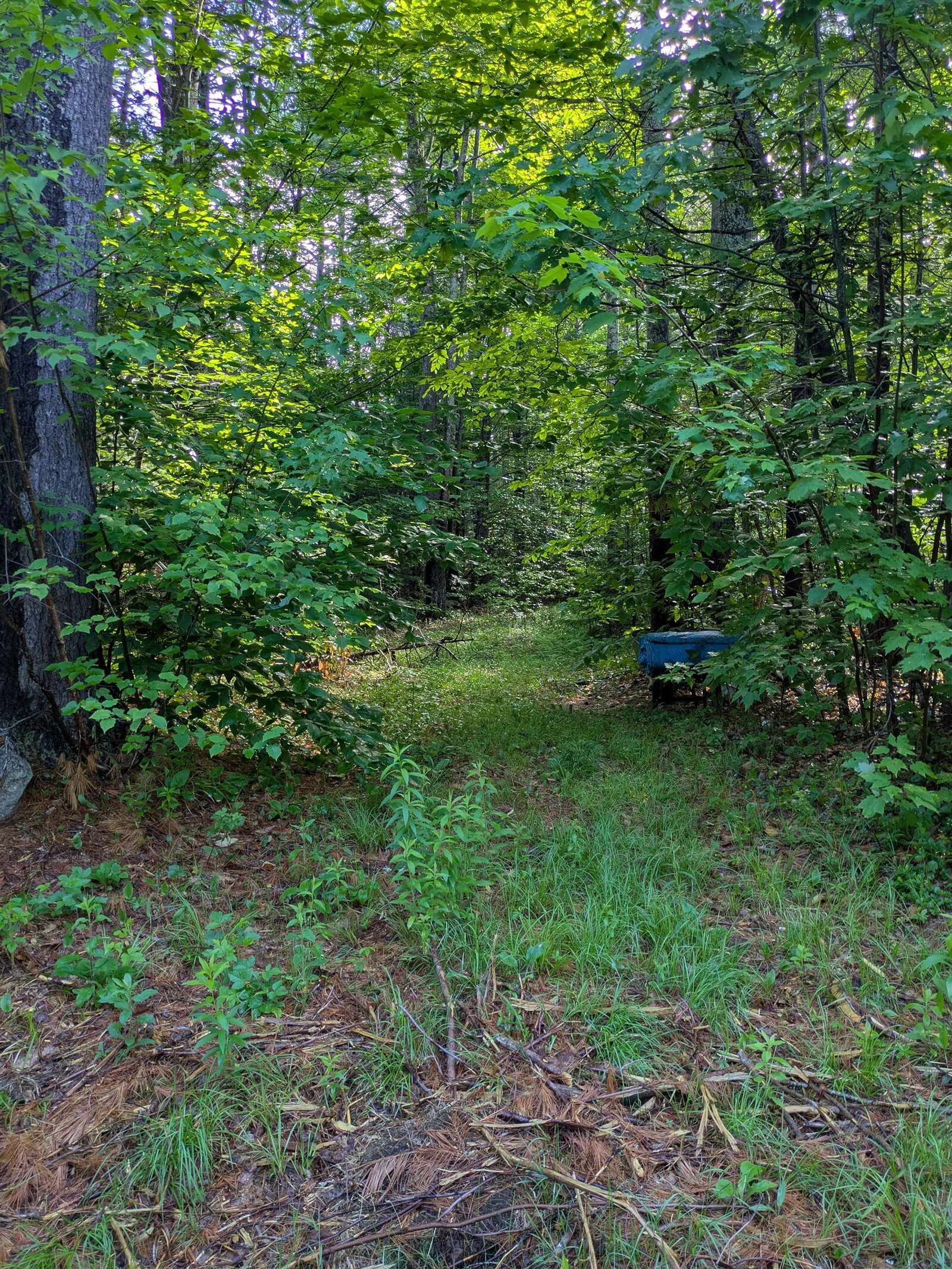 Property Photo:  128 Brock Hill Road  NH 03240 