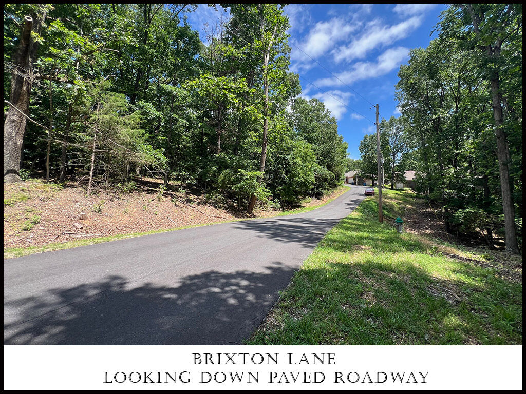 Property Photo: Brixton Lane AR 72714