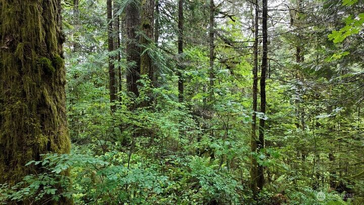 Property Photo:  180  Big River Boulevard E  WA 98244 