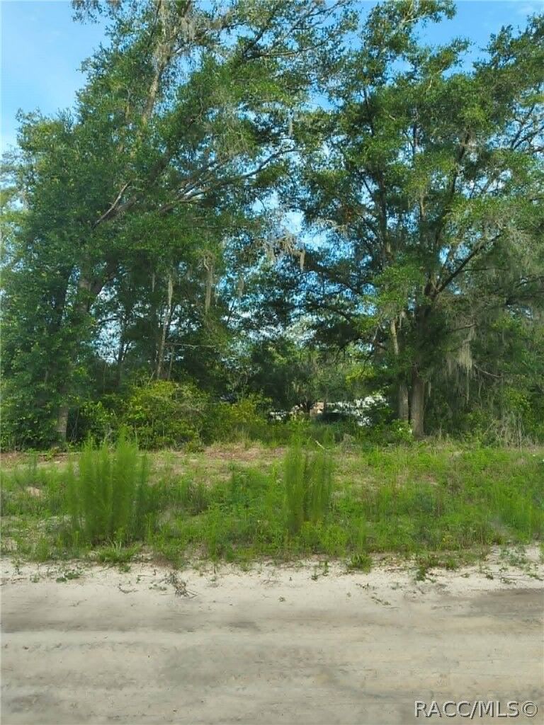 Property Photo:  48 N Buchannon Terrace  FL 34453 