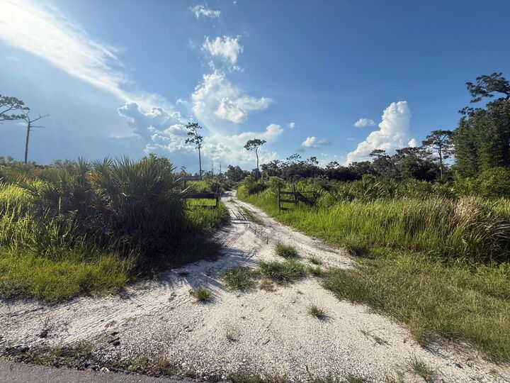 Property Photo: 3349 NE 301st Boulevard FL 34972
