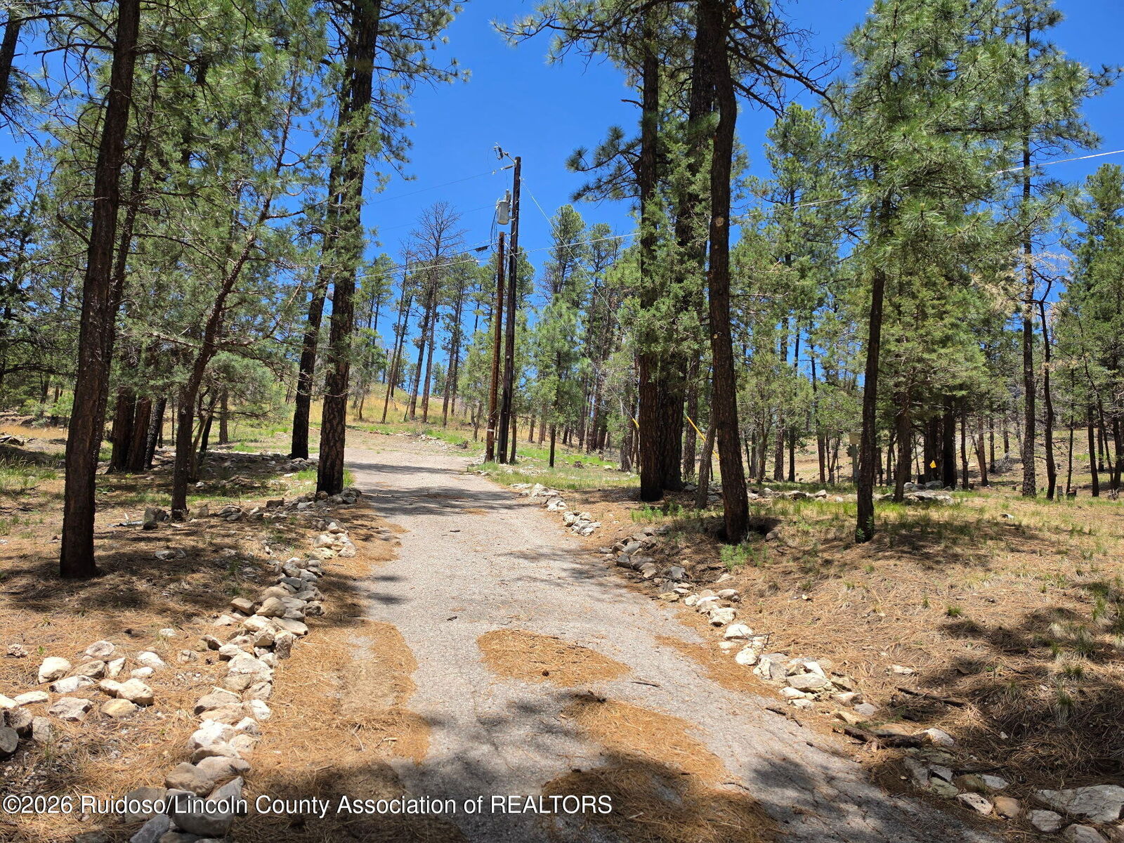Property Photo:  209 Lake Shore Drive (Lot 4)  NM 88312 
