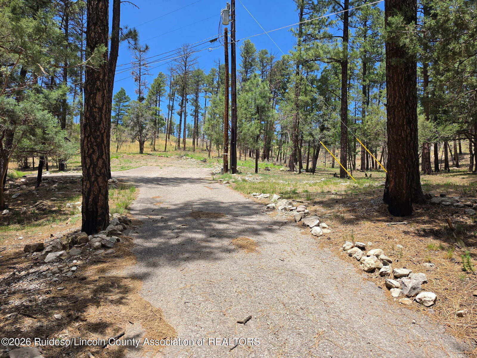 Property Photo:  209 Lake Shore Drive (Lot 4)  NM 88312 