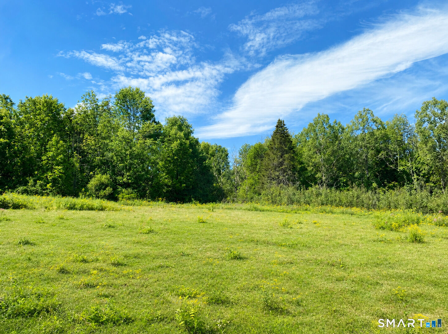 Property Photo:  -00 Colebrook Road  CT 06021 