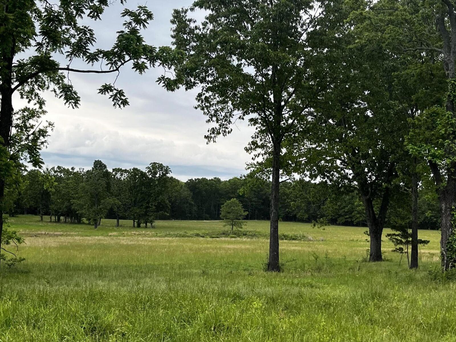Property Photo: 000 County Road 8470 MO 65775